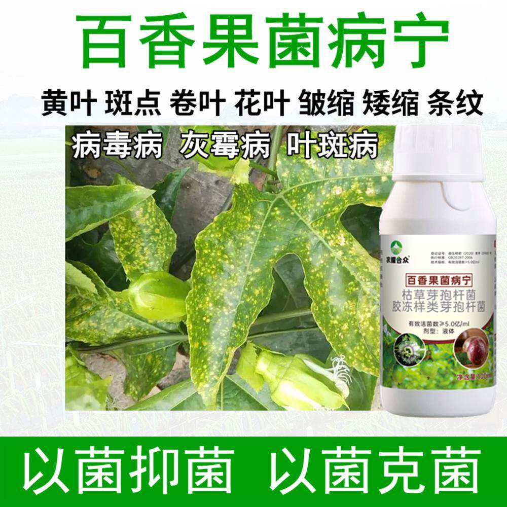 百香果杀菌药病毒克星黄叶病小叶病叶斑灰霉病杀菌剂百香果专用药