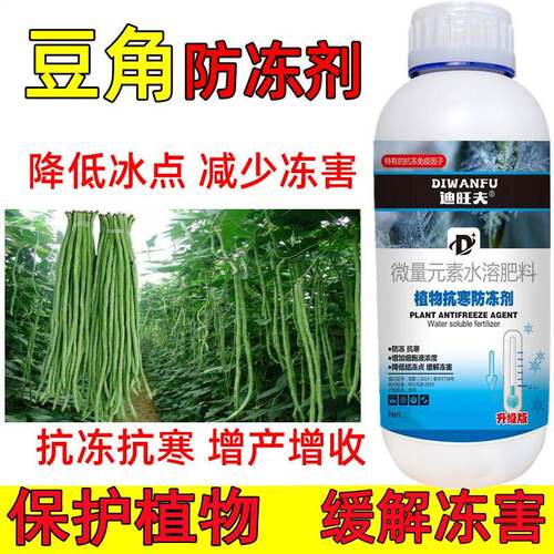 豆角防冻液豆角抗冻防寒剂豆角专用药解冻害抗低温豆角防冻剂叶肥