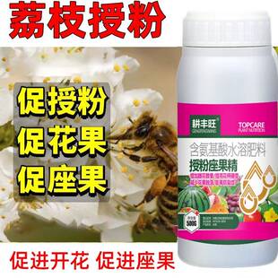 荔枝授粉药荔枝强力授粉荔枝坐果灵保花保果防落果防裂荔枝座果灵