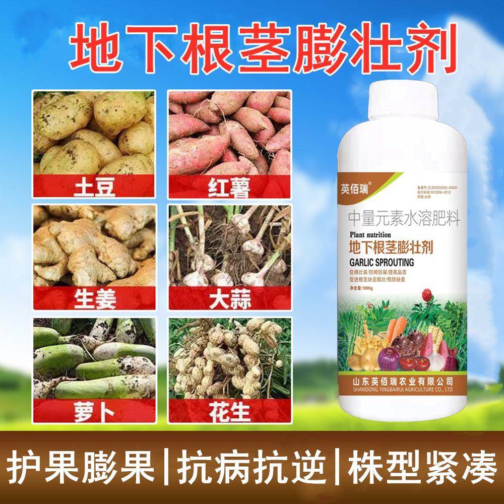 中药材根茎膨大剂红苕山药洋芋莲藕控旺膨大素大蒜地瓜专用水溶肥