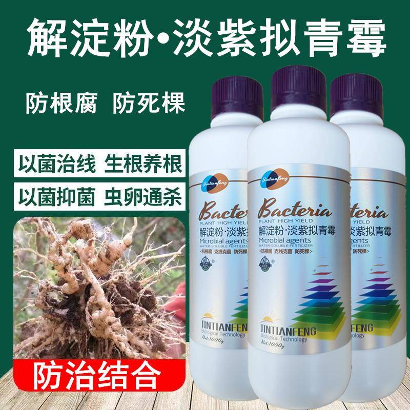 根结线虫专用药根线清淡紫拟青霉菌哈茨木霉淡紫紫孢菌防线虫死棵