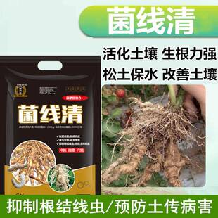 根线清根线净淡紫紫孢菌根线虫根瘤菌剂根腐病根腐克星专用菌肥料