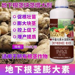 地下猛长膨大素生姜魔芋红薯花生土豆药材块根块茎根茎控旺彭大素