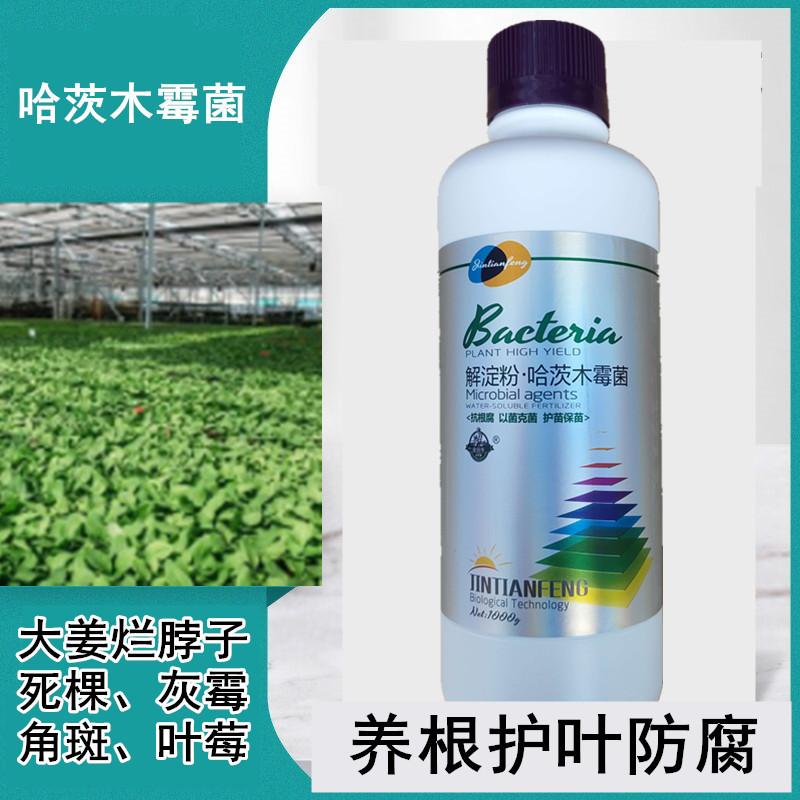 防根腐套餐哈茨木霉枯草芽孢菌杆菌微生物菌剂农用有机菌肥水溶肥