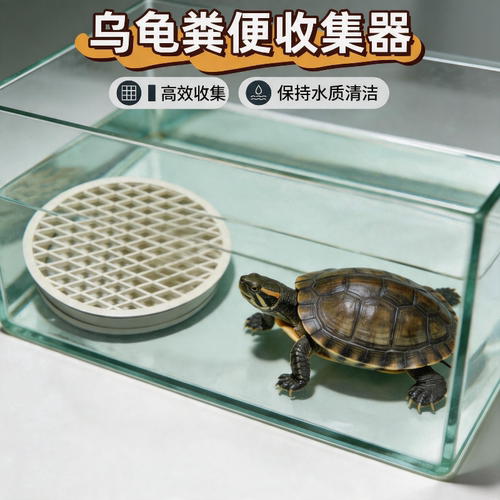 Pvc乌龟粪便收集器龟缸马桶蛋龟果核泥龟头盔蛋龟粪便收集分离器