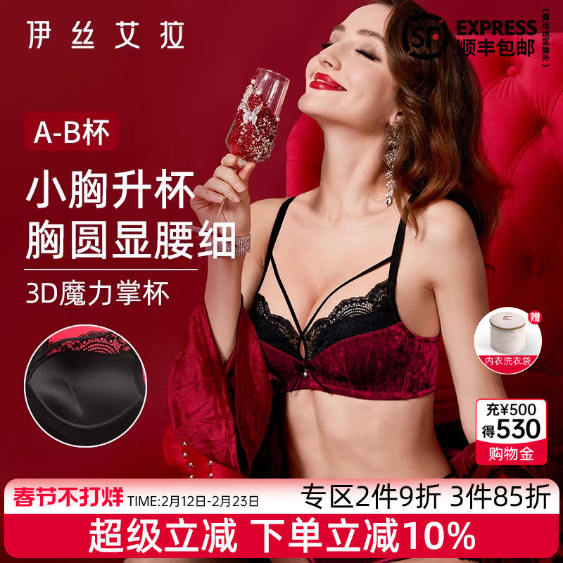 伊丝艾拉小胸聚拢内衣女性感胸罩蕾丝拼接丝绒舒适无钢圈文胸套装