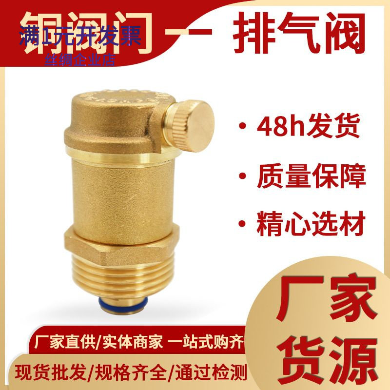 黄铜自动排气阀家用配件4分6分暖