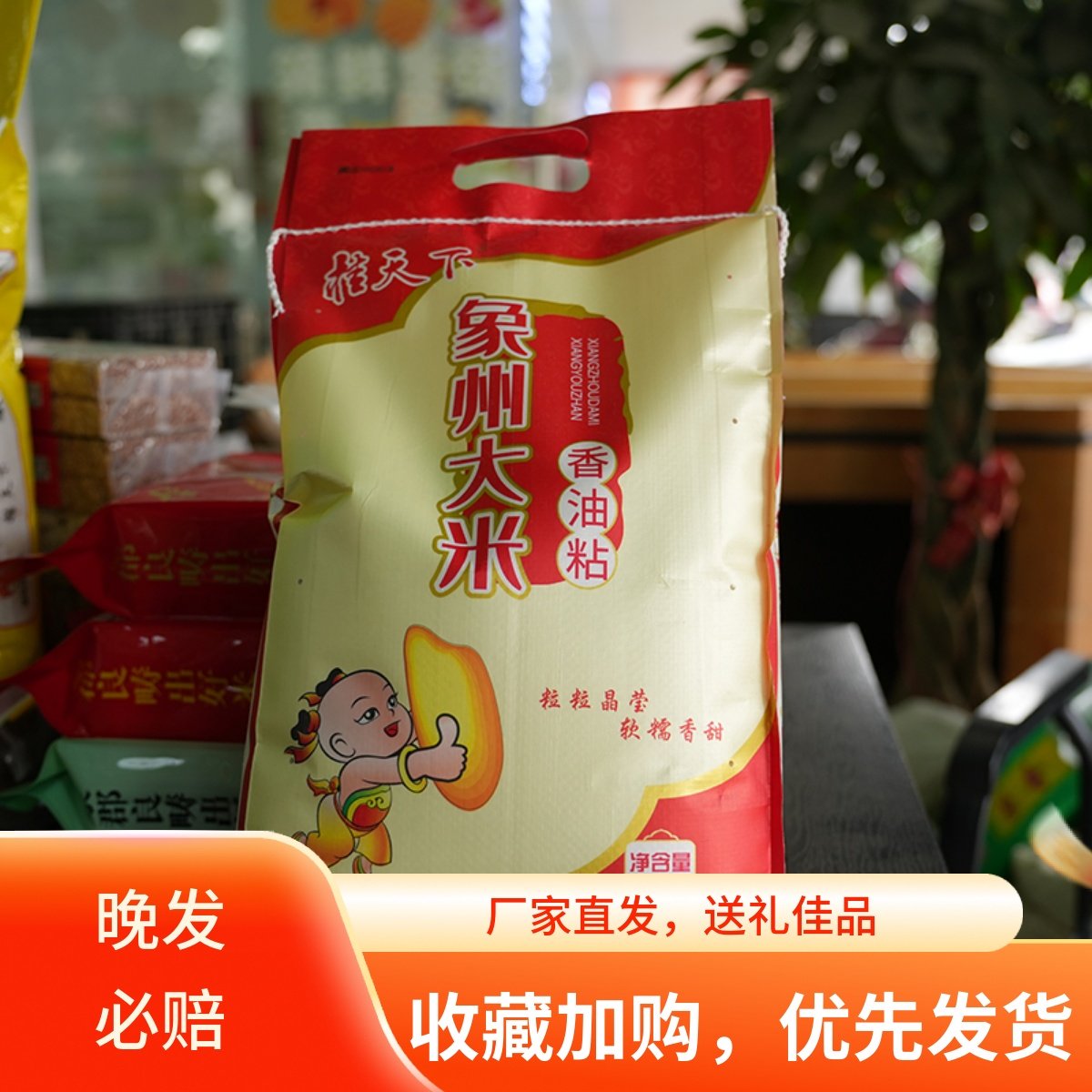 桂天下象州大米香油粘米5kg/10kg广西特产优质稻香油粘营养丰富稻