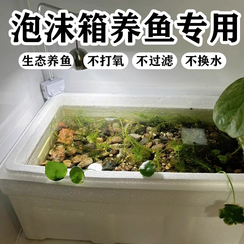 泡沫箱养鱼专用懒人养鱼缸养虾种菜观赏鱼龟缸家用特大号保温箱子图片