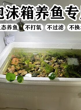 泡沫箱养鱼专用懒人养鱼缸养虾种菜观赏鱼龟缸家用特大号保温箱子