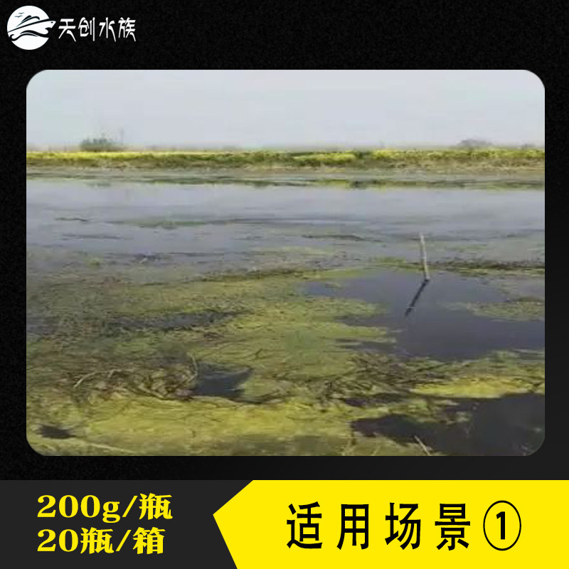 直销龙虾塘蟹塘杀钢毛藻水产养殖刚毛藻净杀青苔丝状藻水青苔泥皮