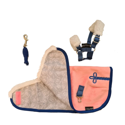 craftyponies马术学习辅助工具