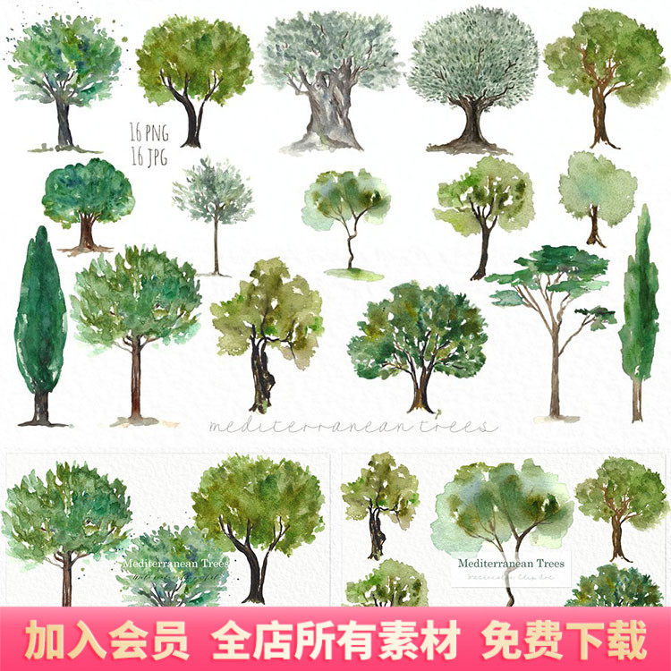 水彩手绘橄榄树树木植物装饰剪贴画插画贴图PNG免扣设计素材,商务/设计服务,设计素材/源文件,淘宝优惠券,粉丝福利购,淘宝优惠卷