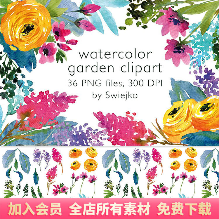 水彩彩色薰衣草花卉包装设计png免扣图案元素剪贴画ps素材