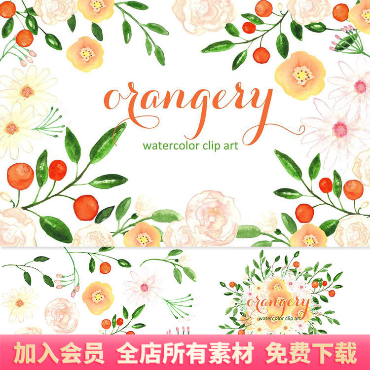 淡雅橘园水彩花卉鲜花花朵图案png免扣剪贴画ps设计素材素材