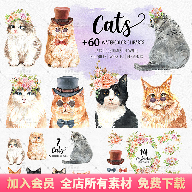 手绘水彩可爱猫咪插图花卉帽子蝴蝶结太阳镜PNG免抠海报设计素材 商务/设计服务 设计素材/源文件 原图主图