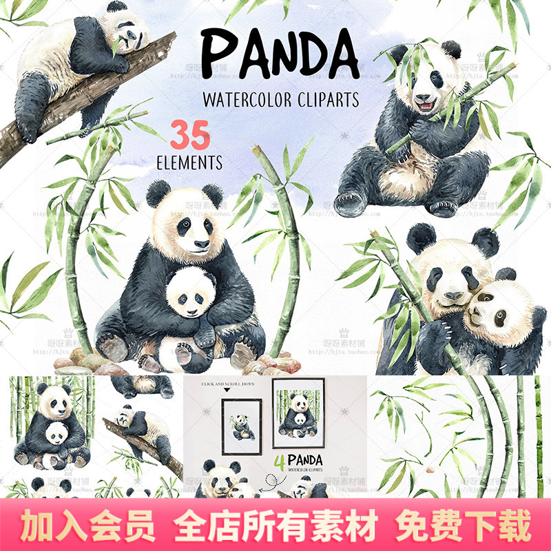 手绘水彩可爱动物熊猫宝宝竹子竹叶石头PNG免抠装饰画芯设计素材