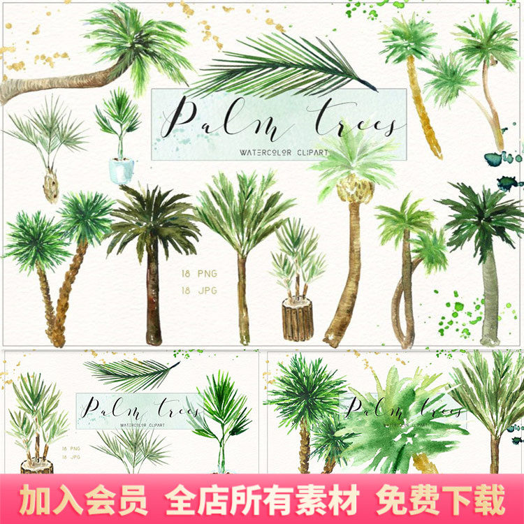 热带雨林海南椰子棕榈树叶卡通水彩手绘png免扣剪贴画ps素材