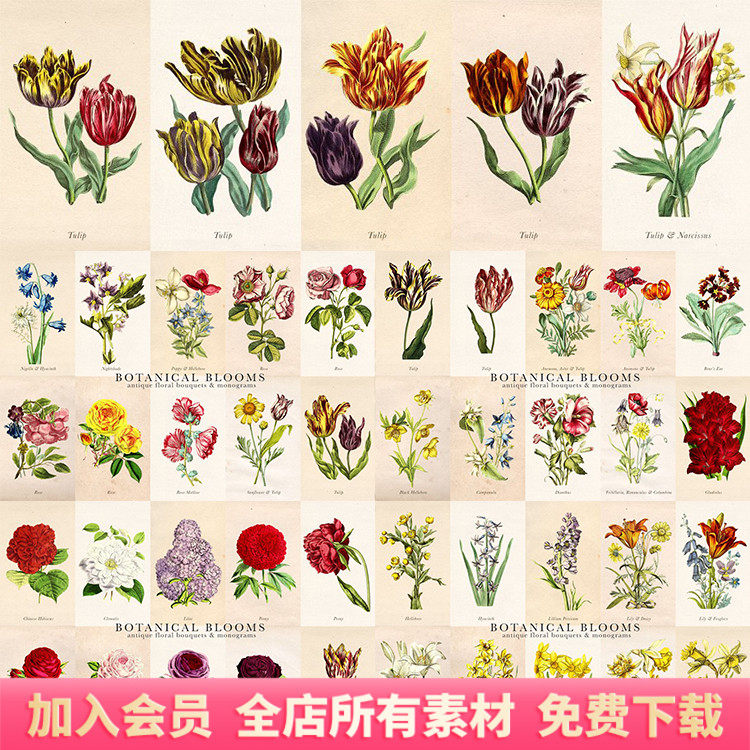 优雅花饰花卉鲜花字母组合艺术字png免扣剪贴画ps设计素材