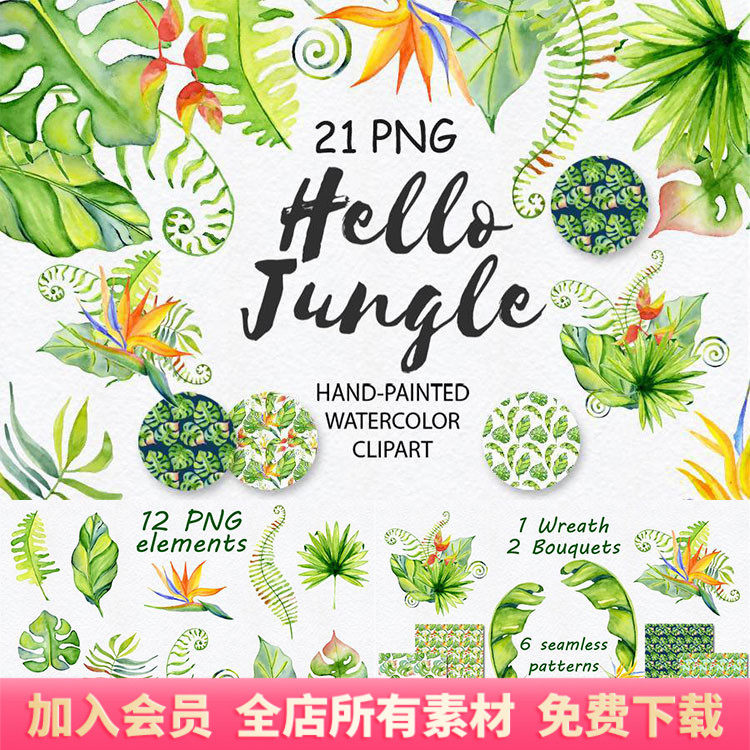 热带树叶龟背竹水彩剪贴画png免扣印刷透明底手账图案ps素材