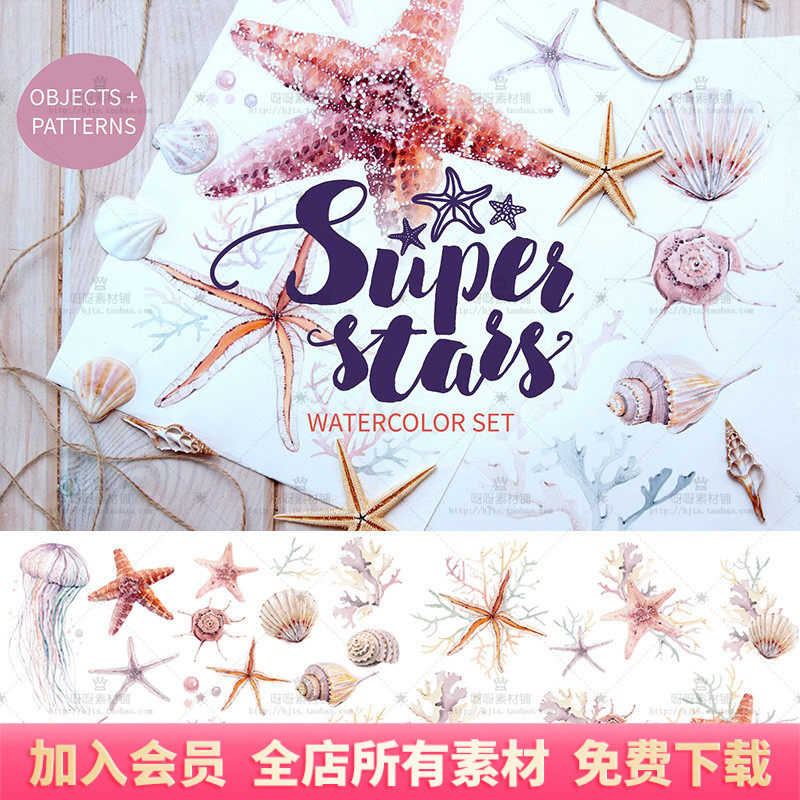 手绘水彩海洋风海星贝壳海螺珊瑚水母卡片海报装饰ps平面设计素材