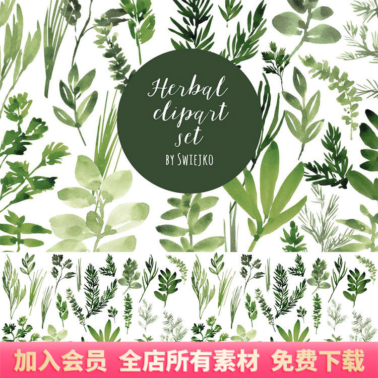 水彩草药绿色植物叶子图案png免扣装饰元素手账透明底ps素材