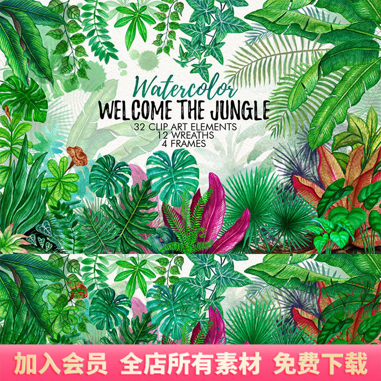 水彩手绘热带雨林植物叶子元素png免扣透明背景印刷图案素材