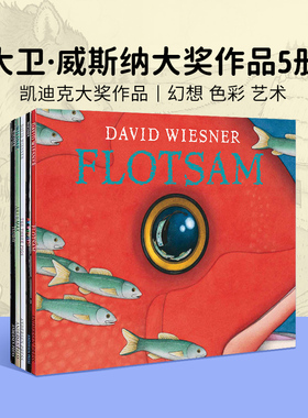 绘本大师 David Wiesner 凯迪克大奖作品 大卫威斯纳系列 五册套装原版漫画书英文绘本