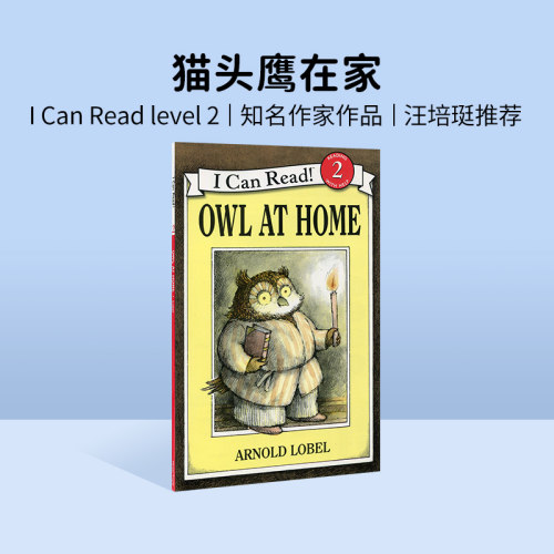 进口原版猫头鹰在家ICanRead