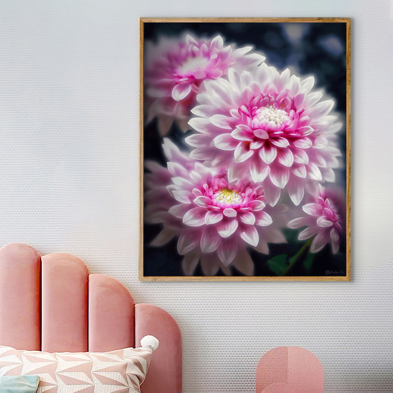 首艺派 数字油画diy粉色菊花植物手工画手绘花卉治愈涂色画丙烯画