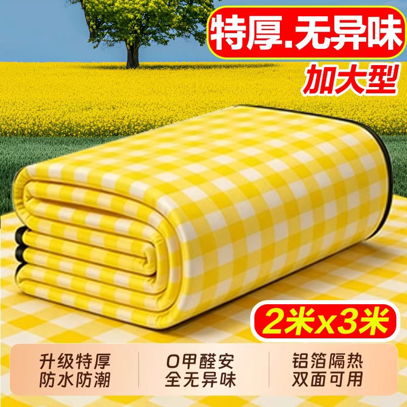 户外野餐垫防潮加厚春游露营防水音乐节便携垫子草坪野炊坐垫帐篷