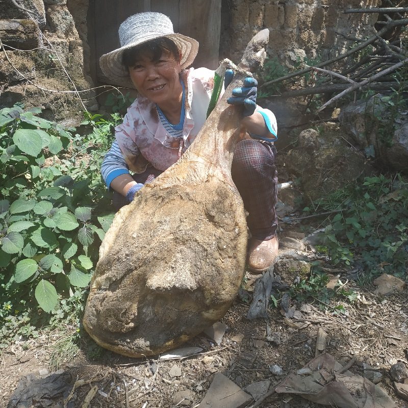 宣威火腿姐3年中部 云南特产生吃老火腿肉农村非进口西班牙意大利