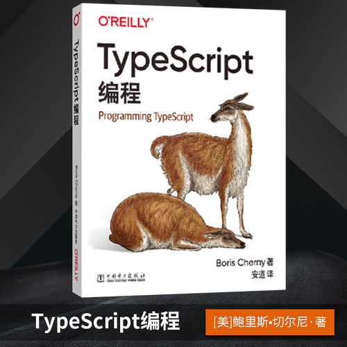 【出版社直供】TypeScript编程 TypeScript编程入门 TypeScript基础知识和开发技巧书 TypeScript语言编程教程书籍 鲍里斯切尔尼
