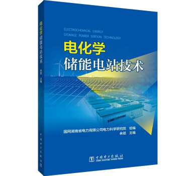 【出版社直供】电化学储能电站技术 新型储能电站规模化建设和运营 电化学储能电站发展应用组成关键设备系统技术运行控制调试测试