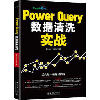 【出版社直供】Power Query数据清洗实战 office会计表格制作 excelvba函数教程代码计算机办公软件自动化书籍 Excel Home