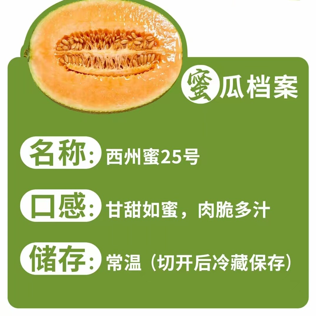 新疆吐鲁番西洲蜜25号哈密瓜生鲜水果脆甜多汁产地直发顺丰包邮