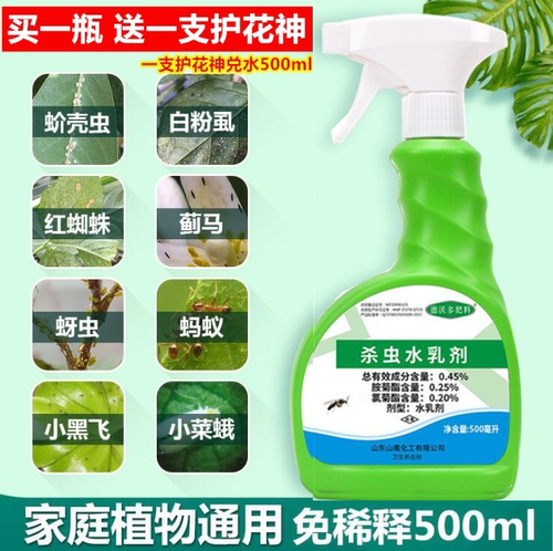 杀虫王花卉植物多肉蚜虫杀虫剂