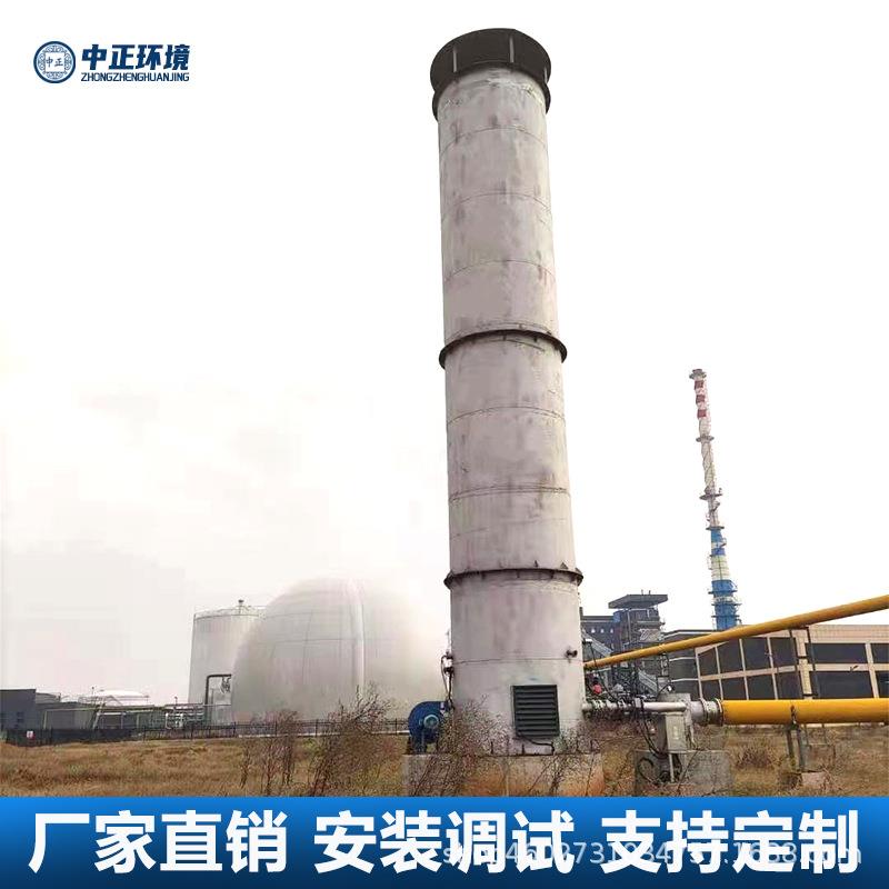沼气火炬燃烧器养殖场厂啤酒厂污水处理垃圾处理厂沼气处理设备