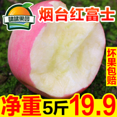 山东烟台红富士正宗当季苹果脆甜新鲜栖霞冰糖心水果5斤10斤整箱