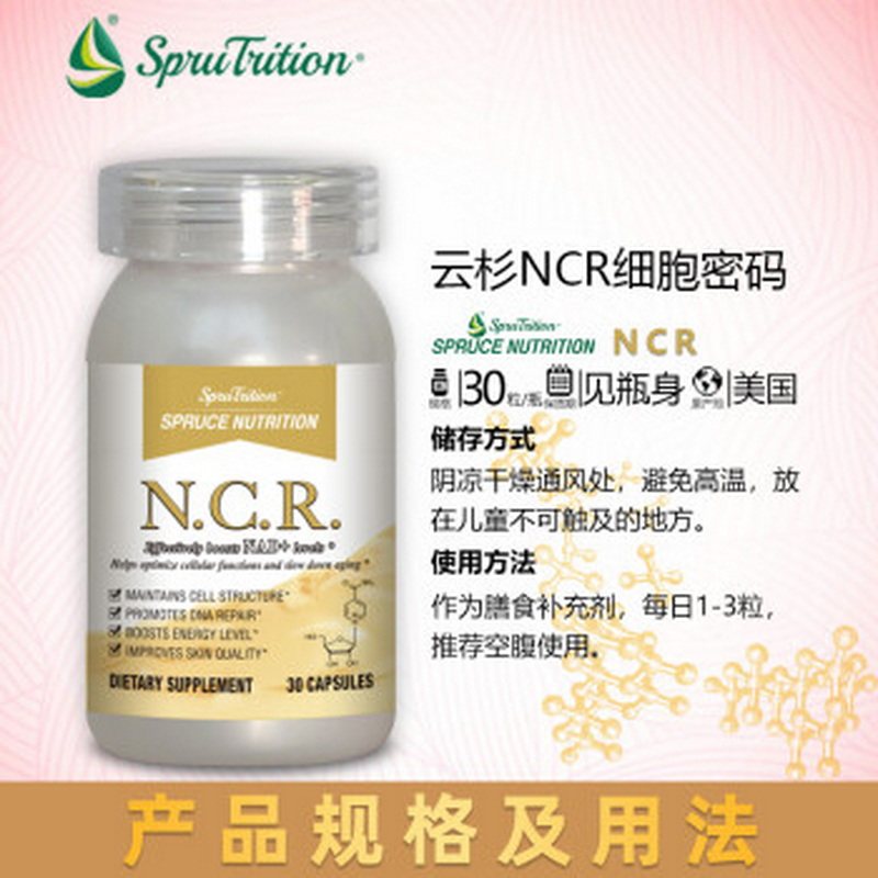 美国SPRUCE云杉NCR细胞活力密码 提高能量与皮肤代谢恢复基因年轻