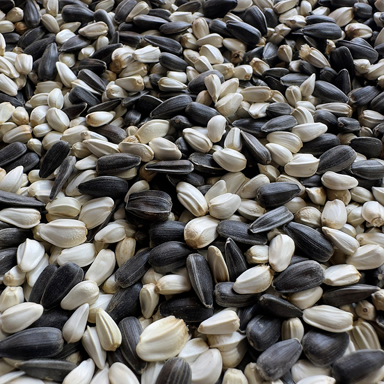 油葵小黑瓜子红花籽二合一混合鸽粮鸽子鹦鹉鸟食鸟粮小瓜子,宠物/宠物食品及用品,鸟食,淘宝优惠券,粉丝福利购,淘宝优惠卷