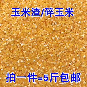 玉米渣 碎玉米 鸽子 信鸽 赛鸽 观赏鸽饲料鸟食  包邮5斤