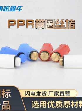 新款直销PPR四通带圈丝堵兔耳朵丝堵头长丝堵管帽堵头闷头PPR闷头