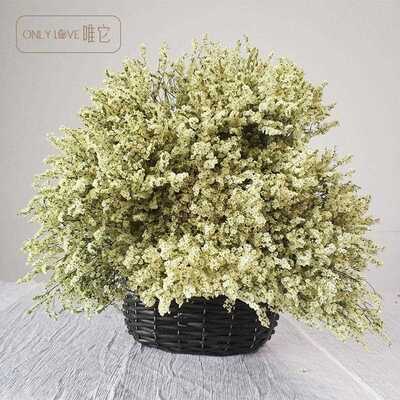 新款直销水晶草干花花束 家居装饰ins花摆件插花乾燥花天然风干花