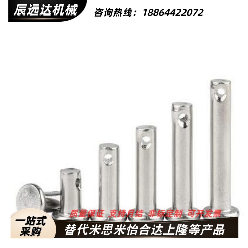 铰链销SHCMG SHCLGN SHCLGHN3 4 5 6 8 10 12-10 20 25 30 40 50