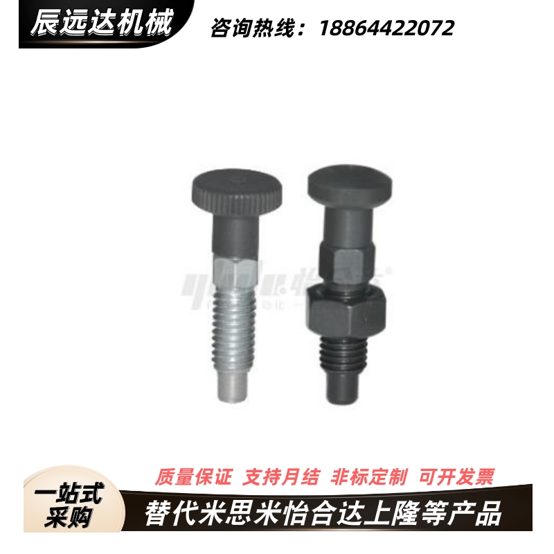 ZAE06-M10/16-M12/56-M16/51分度销ZAM21/22/31/32/42/52/01/M8