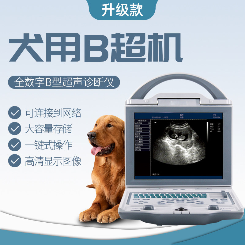 犬用b超机宠物b超动物b超机仪器台式宠物医院高清超声机测孕仪器