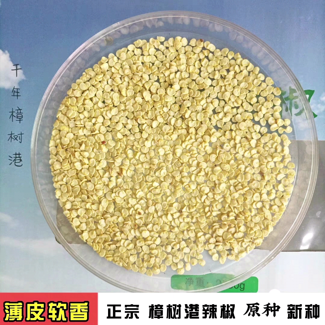 正宗樟树港辣椒种籽 25年新种子湖南湘阴特产薄皮软香 百年老品种