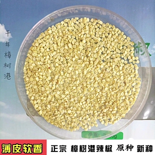 正宗樟树港辣椒种籽 25年新种子湖南湘阴特产薄皮软香 百年老品种