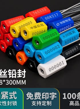 一次性钢丝封条电表集装箱物流